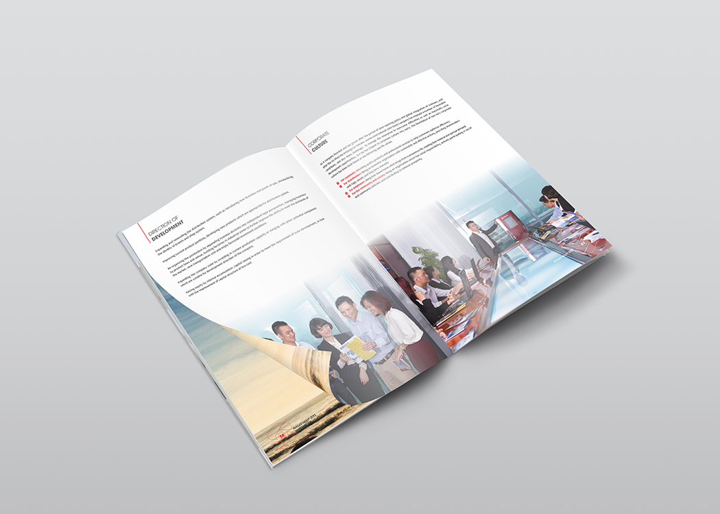 SƠN HÀ - Thiết kế báo cáo thường niên cho Công ty Sơn Hà